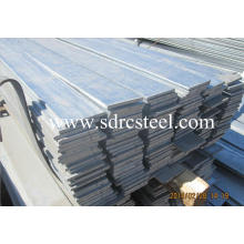 Prime Hot-DIP Galvanisierter Flat Bar